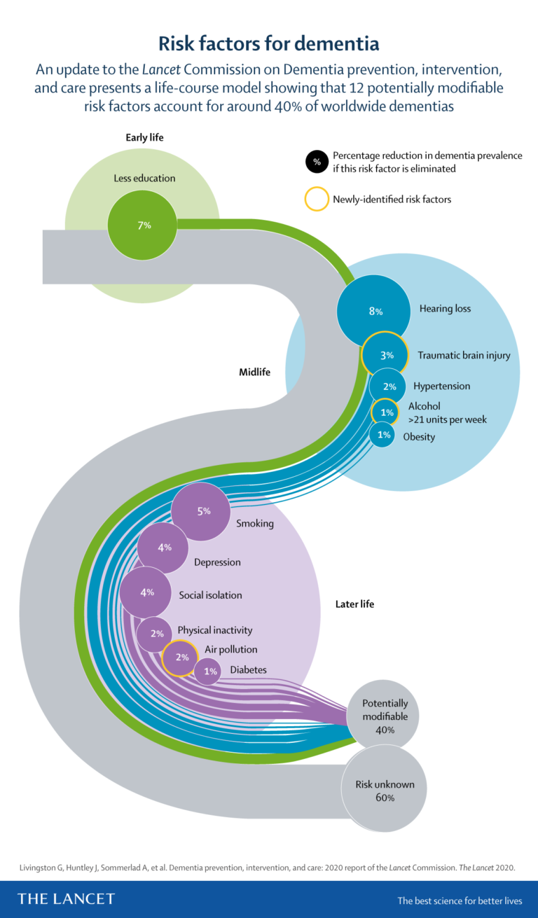 12 Modifiable Risk Factors For Dementia Insights From The Lancet   Dementia Risk Reduction 768x1311 